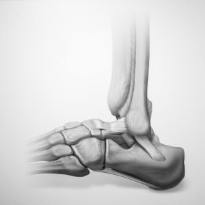 Informationen im Zentrum der Fuß- und Sprunggelenkchirurgie. Nehmen Sie Kontakt mit uns auf für Ihre Pflege